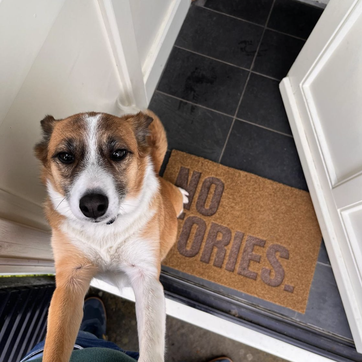 NO TORIES DOORMAT